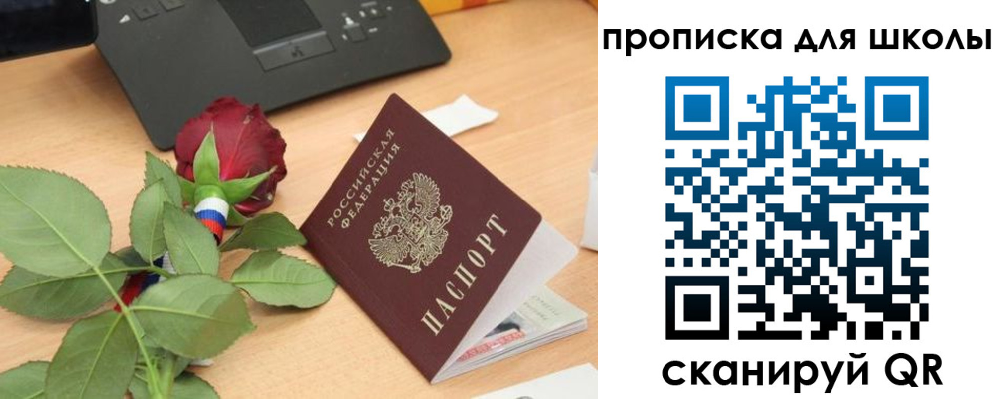прописка паспорт в Купино